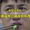 大型《黄磊炖豆角食物中毒