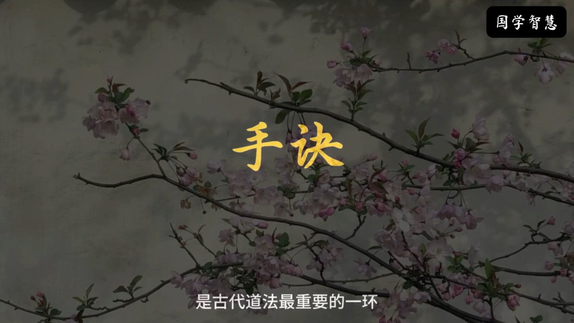 首次公开 道家真传（手诀篇）