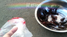 75e02aed44c2359045f56d3be486e95ca79e3867.jpg@280w_158h_1c_100q.jpg