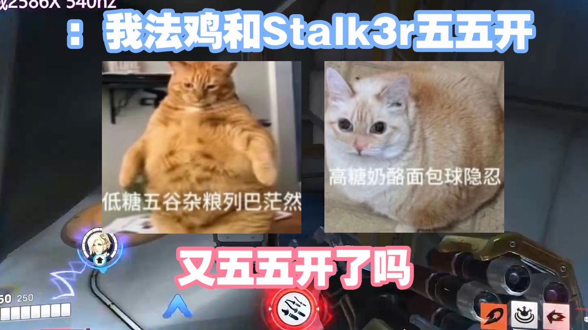 【Guxue/Mmonk】你说（嚼嚼嚼）小猫这玩意儿（嚼嚼嚼）是谁发明的捏（嚼嚼嚼）