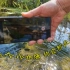 手机拍摄教学：用一个小水塘，展现大自然之美！