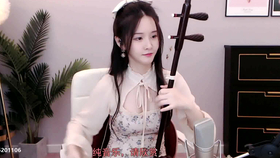 二胡独奏新赛马曲谱_二胡独奏赛马曲谱(2)