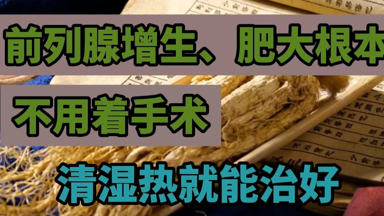 字幕下载