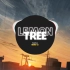 抖音Dj Lemon Tree榜单混音Gustixa Remix V2