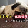大侄子狂吹滥舔     小本子在线破防