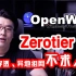 【韩风Talk】Openwrt的Zerotier插件玩法，异地组网不求人，大虚拟局域网走起！