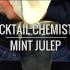 【鸡尾酒化学】基础技巧——薄荷茱莉普  (Mint Julep)
