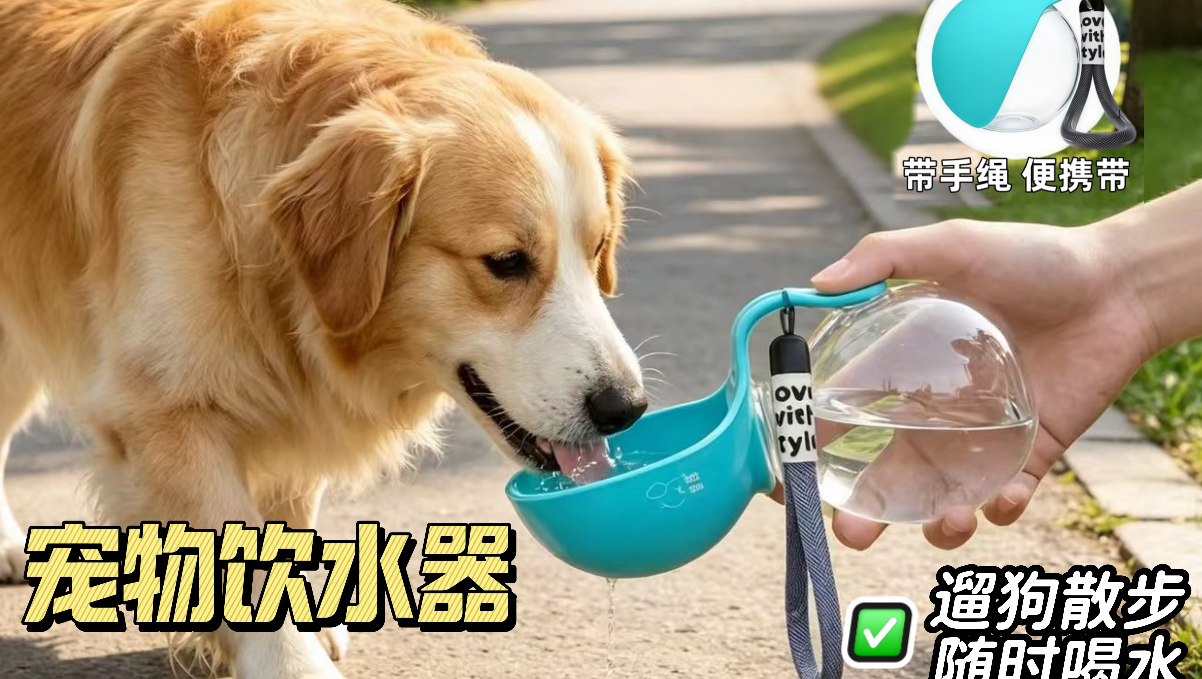 狗狗也是好起来了，都有自己的专属小水壶啦哈哈哈