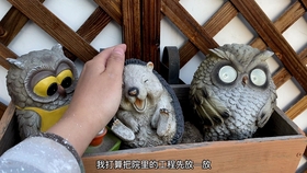 7640676156499999af78ae646b9f374ecfe88e8e.jpg@280w_158h_1c_100q.jpg