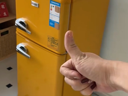 你以为是智商税，实则一秒提升幸福感的宿舍小功率电器。 #志高复古冰箱 #好物分享