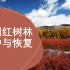 中国红树林保护与恢复