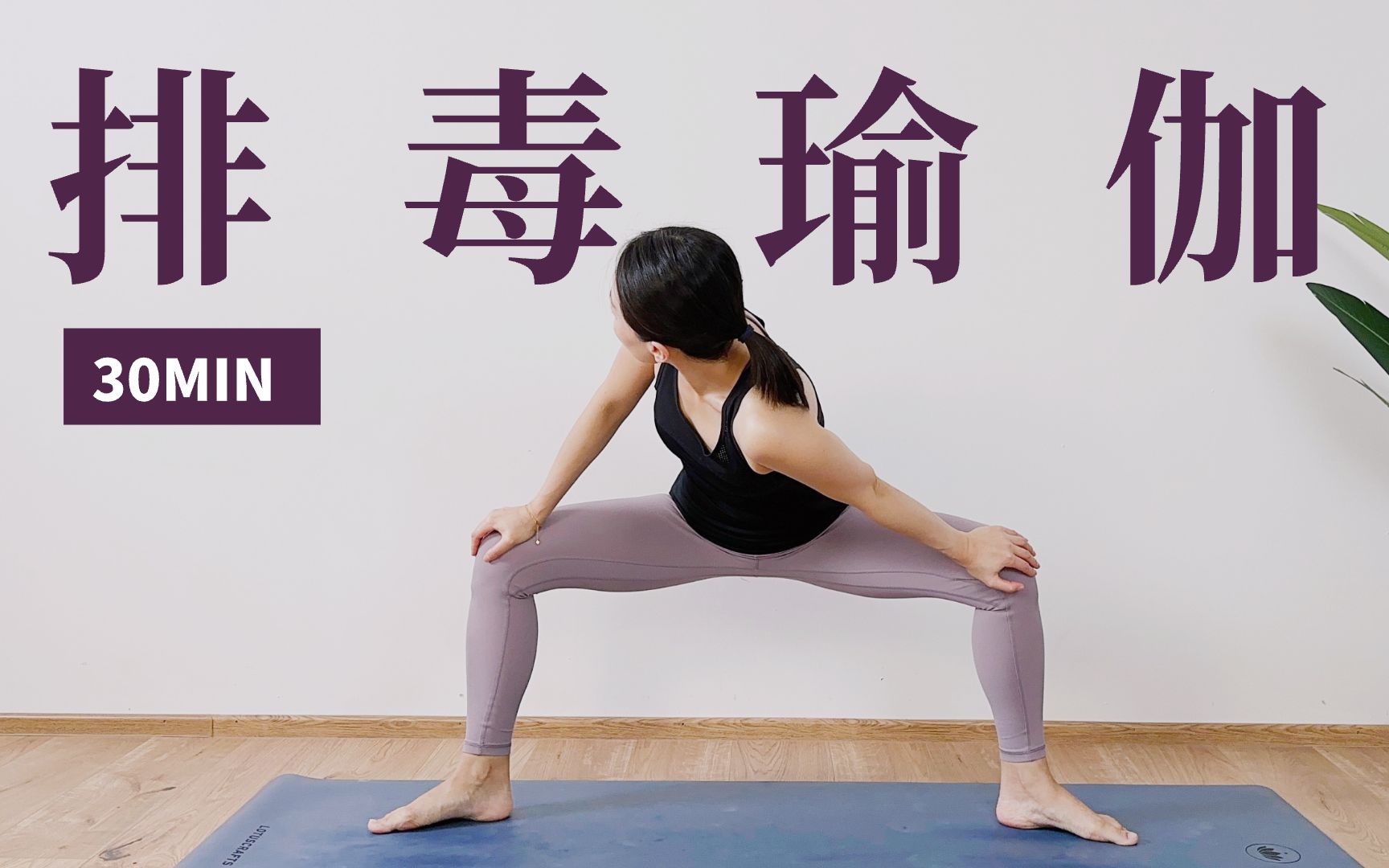 【30分钟排毒瑜伽🌟🌟🌟】清除体内毒素 促进淋巴循环 增强肠胃消化功能 | Yue Yoga