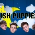 Why Don’t We Serenades a Group of Puppies ???? w_ '8 Letters