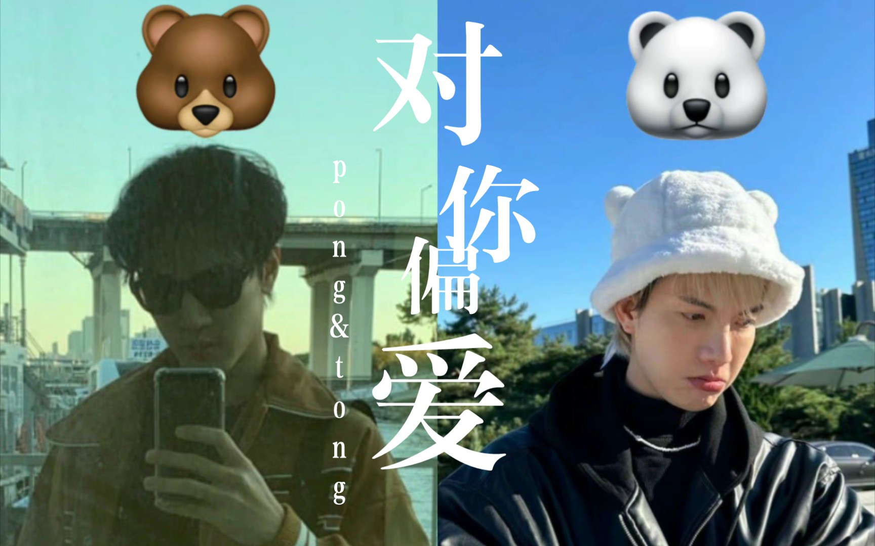 pongtong bilibili pongtong-bilibili