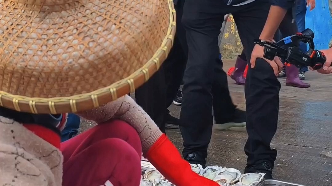 位于儋州白马井码头的渔港早市