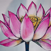 葫芦兄弟09-《超清修复