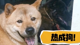 76eb8a5f2904ccd019a5fc26c7a5a62e1269ccbe.jpg@280w_158h_1c_100q.jpg