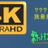 【4K神奇宝贝 我是谁素材(带字幕版本)】全网首发！！！