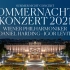 2021 维也纳美泉宫夏季音乐会 Sommernachtskonzert 2021