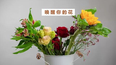 770b4a6e0a744836985bfe1f321ed2d3839db6b3.jpg@480w_270h_1c