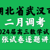 湖北省武汉市二月调考2024届高三数学试卷逐题讲解