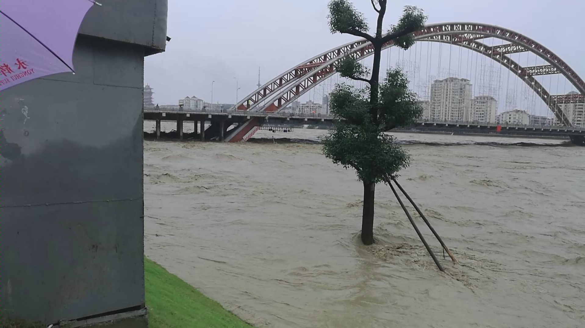 绵阳正式成为海景城市哔哩哔哩bilibili