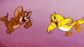 梦境的丰饶之谜，解析梦见自己养了两头又肥又大的白猪