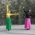 紫竹院广场舞《探亲水河》双人版，歌声悦耳动听，舞步新颖好看