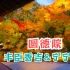 【漫步日本】丰臣秀吉正室--宁宁的终焉之地，圆德院