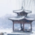 立春刚过，北京便迎来了虎年的第一场雪，漫天飞雪给紫竹院公园增添了新的色彩
