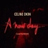 【席琳迪翁】席琳·狄翁 “崭新的一天”拉斯维加斯演唱会全程回放！Ceine Dion - A New Day: Live