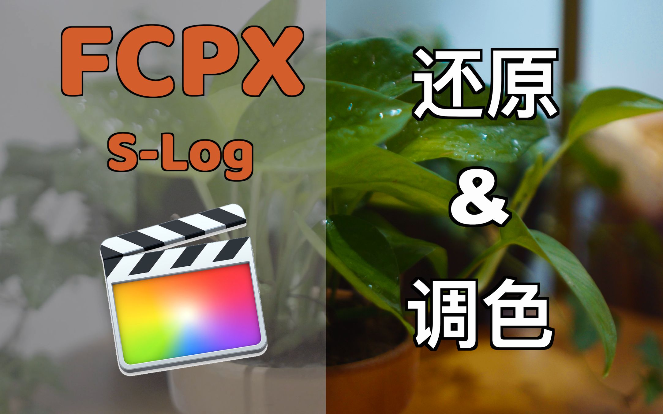 活动作品新手向使用fcpx快速还原你的sonyslog3颜色以及调色finalcut