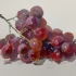 【水粉色彩】画一串葡萄系列-深色葡萄……