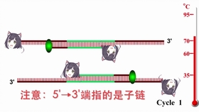 抬棺钢琴简谱_黑人抬棺钢琴简谱