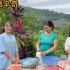 阿辉的妈妈教越南姑娘小粉小竹和小花做泡菜，韩国的美食。