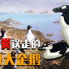 1844年7月3日，三个渔民踩碎了一颗蛋，宣告一个物种的灭绝