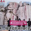 草，一觉醒来福建的我被好兄弟带上泰山，就是有点寄#大学生 #泰山