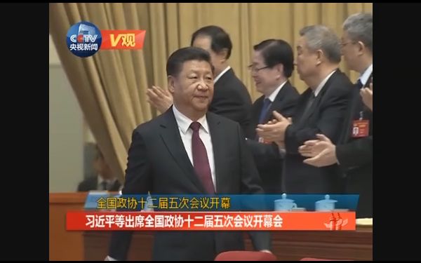 习近平等出席全国政协十二届五次会议开幕会哔哩哔哩bilibili