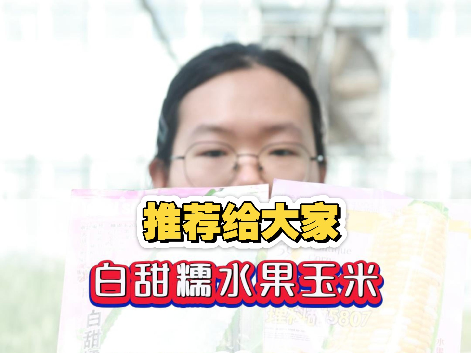 好吃的白甜糯和水果玉米推荐给大家