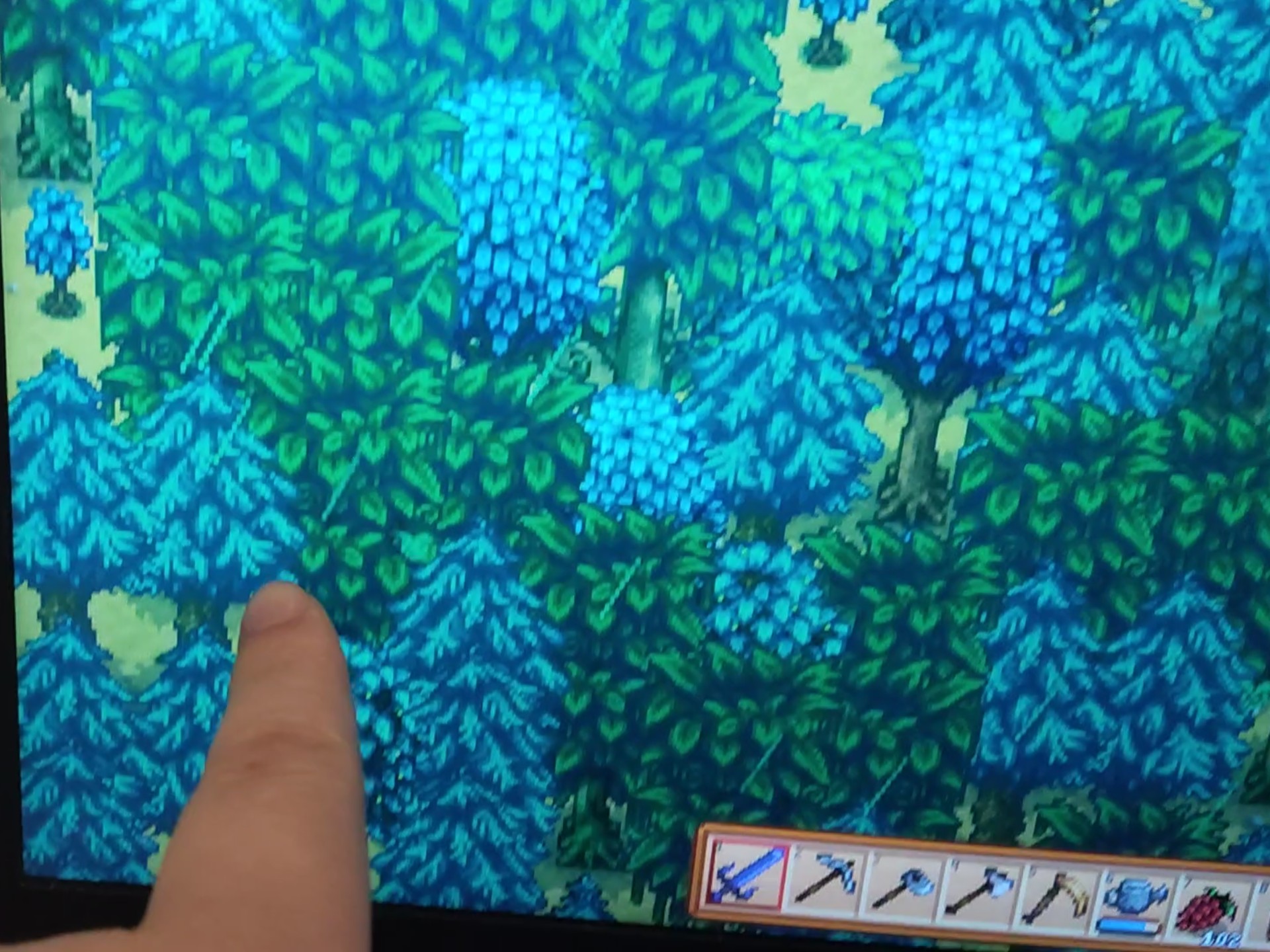 睿智朋友绿雨前说要种一点树