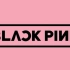 【4K】BLACKPINK MV 合集 终极收藏版（更新至MONEY）