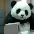 【滚滚 广告】惨遭外国人糟改的熊猫，这广告有毒【大熊猫Panda】