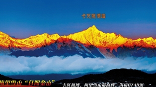 782356bd7b234791fa8e4d379e225ad1e4969205.jpg@310w_174h_1c_100q.jpg