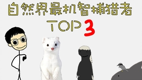 782a5466aa0eea3b502dfd817df40f7995be6e19.jpg@280w_158h_1c_100q.jpg