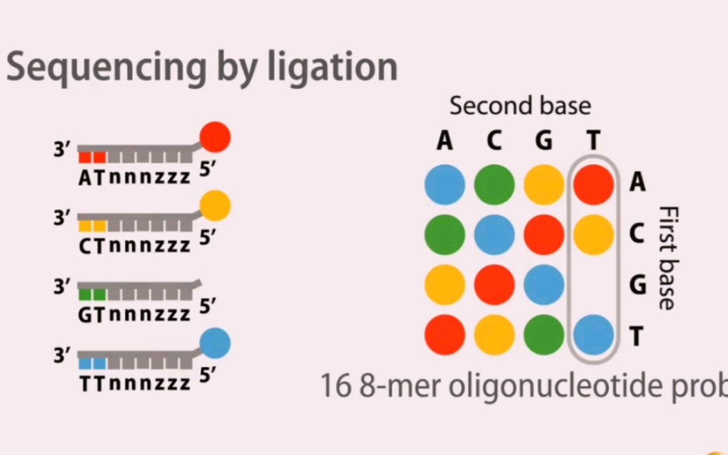 （译）1. Next Generation Sequencing(NGS)-An Introduction_哔哩哔哩 (゜-゜)つロ 干杯 ...