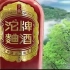 【中国大陆广告】沱牌曲酒广告【1996-2013】