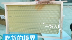 蜜蜂来家里了有什么预兆 783a772751c74944563a866b62596c6c5cb8e160.jpg@280w_158h_1c_100q.jpg