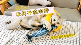 7852c3478a86ac10dabc93044ede39892a53529f.jpg@280w_158h_1c_100q.jpg