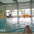 荷兰游泳（小学必考）B级游泳文凭考试，着衣 不戴泳镜 跳水 过障碍物 蛙 反蛙 仰 静漂