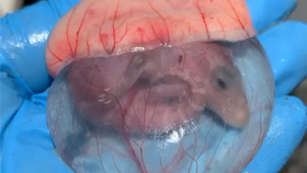 7855bdd3e053b00bceb84e8f54a74e1fe46cfb10.jpg@280w_158h_1c_100q.jpg